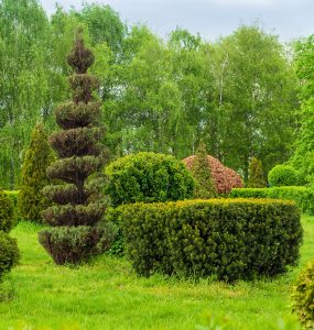 Sträucher Hannover - Lika Galabau Hannover Lika Galabau Hannover - Das Team von Lika Garten-und Landschaftsbau Hannover besteht aus langjähriger Erfahrung und erfahrenen Facharbeitern