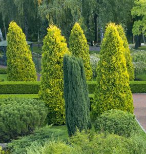 Sträucher Hannover - Lika Galabau Hannover Lika Galabau Hannover - Das Team von Lika Garten-und Landschaftsbau Hannover besteht aus langjähriger Erfahrung und erfahrenen Facharbeitern